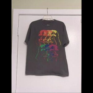 Star Wars Darth Vader Rainbow Large Grey Tshirt